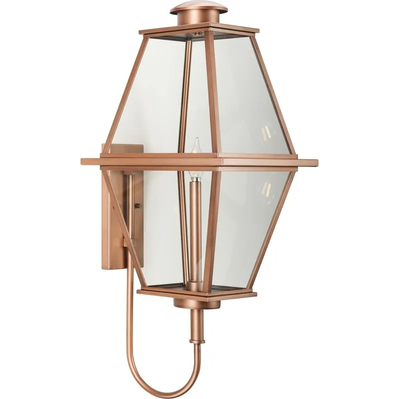 Bradshaw Collection One-Light Clear Glass Large Outdoor Wall Lantern — Progress Lighting LED Wall Lights  