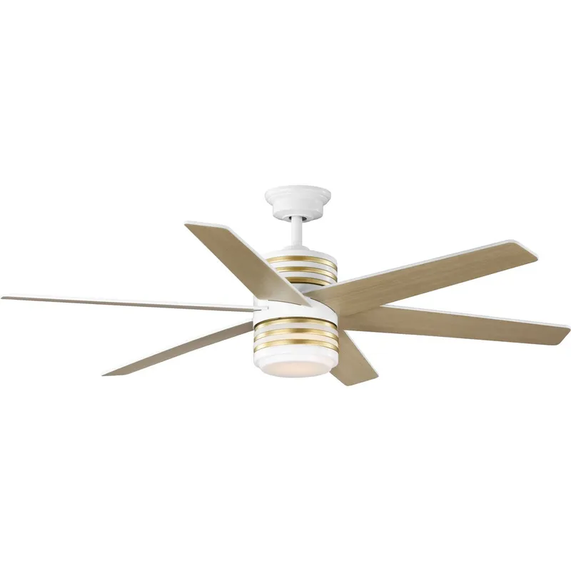 Carrollwood Collection 56-Inch Six-Blade DC Motor Ceiling Fan — Progress Lighting LED Lighting Accessories  