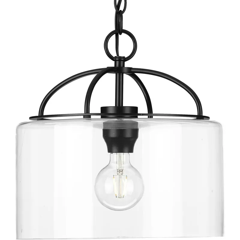 Leyden Collection One-Light Clear Glass Hanging Pendant Light — Progress Lighting LED Landscape Lights  