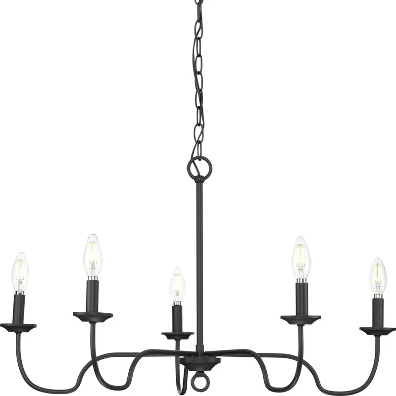 Canebrake Collection Five-Light Chandelier Light — Progress Lighting LED Landscape Lights  