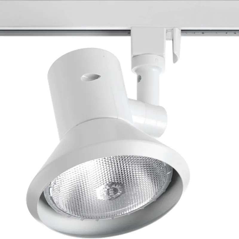 Alpha Trak Collection Shallow Profile PAR 30 Track Head — Progress Lighting LED Landscape Lights  
