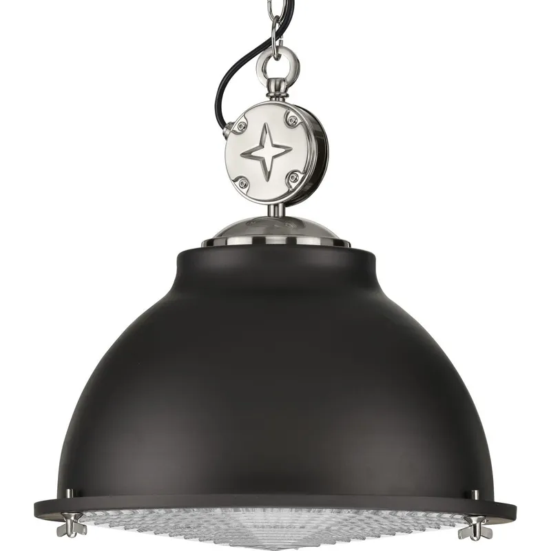 Medal Collection One-Light Clear Patterned Glass Pendant Light — Progress Lighting LED Landscape Lights  