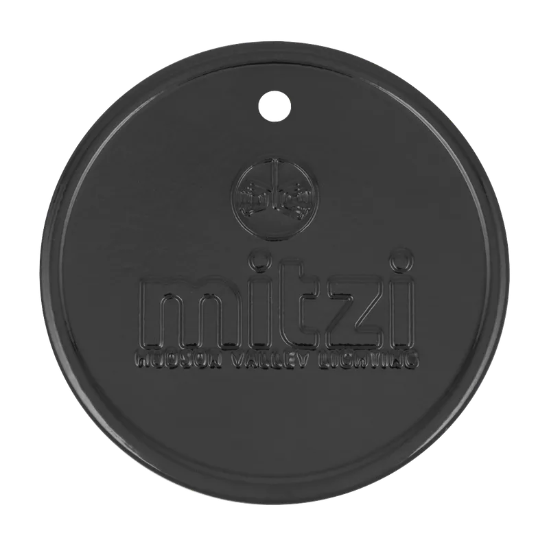 Gloss Black Swatch — Mitzi LED General Lighting  