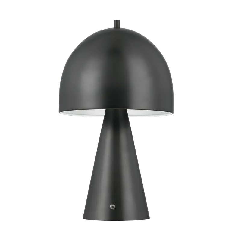 HOPKINTON Rechargeable Table Lamp — Mitzi LED General Lighting  