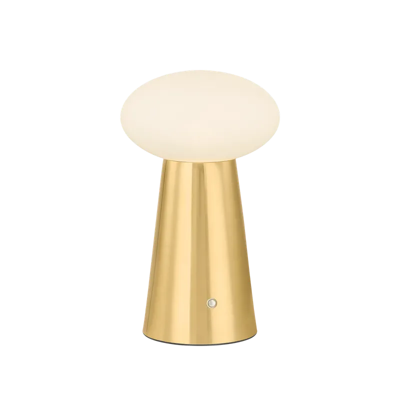 CASHEL Rechargeable Table Lamp — Mitzi LED General Lighting  