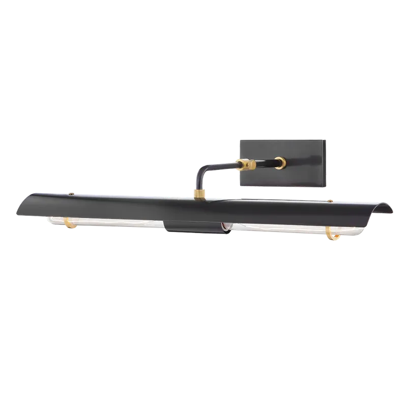 Raelynn Picture Light — Mitzi LED General Lighting  