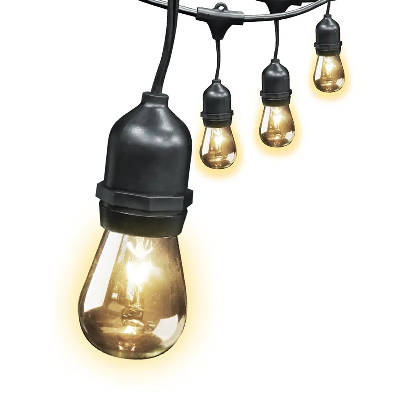 30ft 10-Socket Incandescent String Light - Feit Electric — LightUp Lighting LED General Lighting 11.0W 