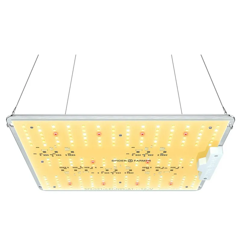 LED Full Spectrum Indoor Grow Light - 100W - Spider Farmer - SF1000D — LightUp Lighting LED General Lighting 100.0W 3000K