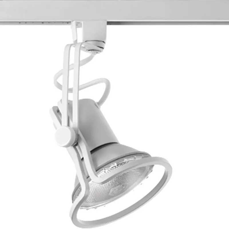 Alpha Trak Collection Free Form PAR 30 Track Head — Progress Lighting LED Landscape Lights  