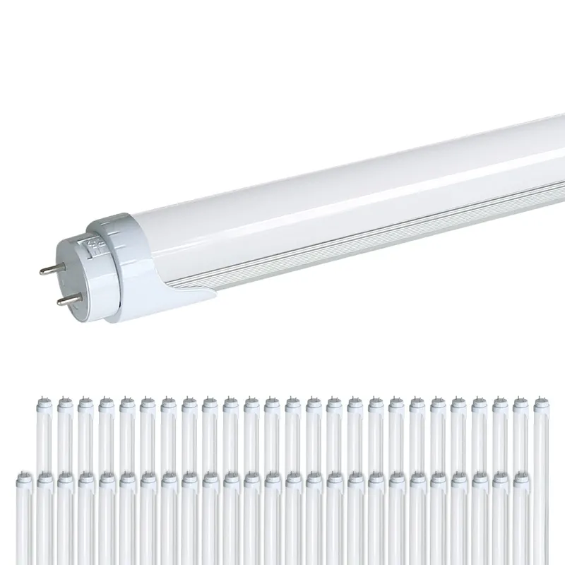 2200 Lumens - T8 4ft LED Tube Light - Ballast Bypass - Double Ended - 17W - 5000K -120-277V - Pack of 50 — Revolve LED LED Linear Lights 17.0W 5000K