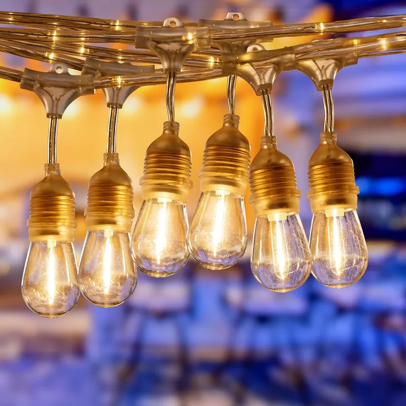 TwinkleTrail 48' LED Outdoor String Lights - Crystal Clear 24 Sockets Bulbs Included — TORCHSTAR Lighting LED Track Lights 1.0W 2700K