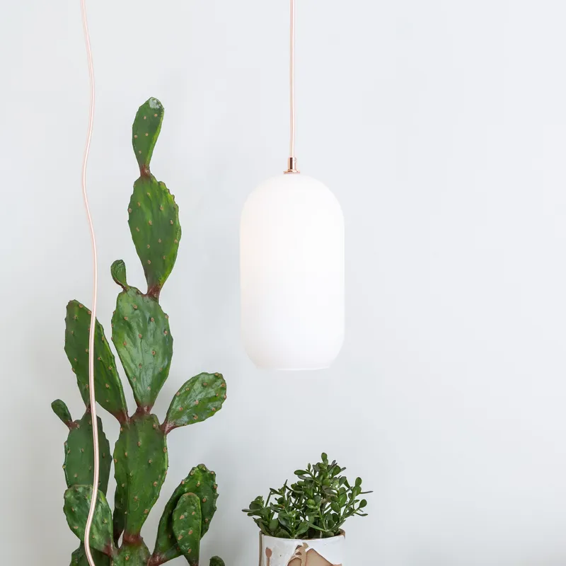 1/8 IPS Fixed Cord Pendant - Customizer Base — Color Cord Company LED Pendant Lights  