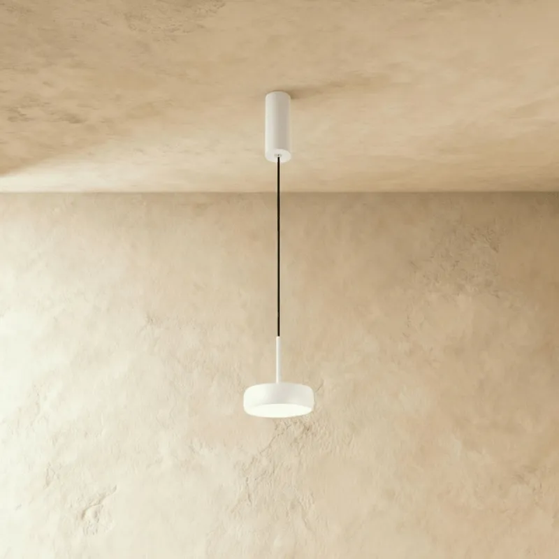 Fionn Pendant Light — Zarvo Lighting LED Pendant Lights 12.0W 