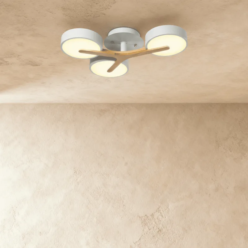 Ashane Ceiling Light — Zarvo Lighting LED Ceiling Lights 36.0W 3000K