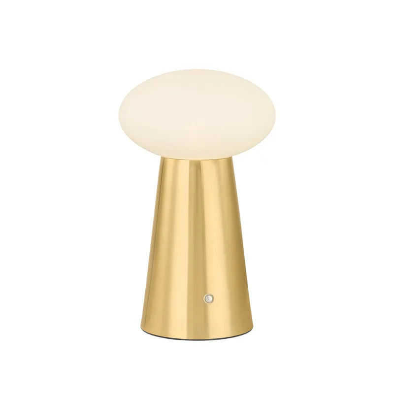 Cashel 1-Light Rechargeable Table Lamp in Aged Brass 6W x 10H — Foundry Lighting LED General Lighting 6.0W 