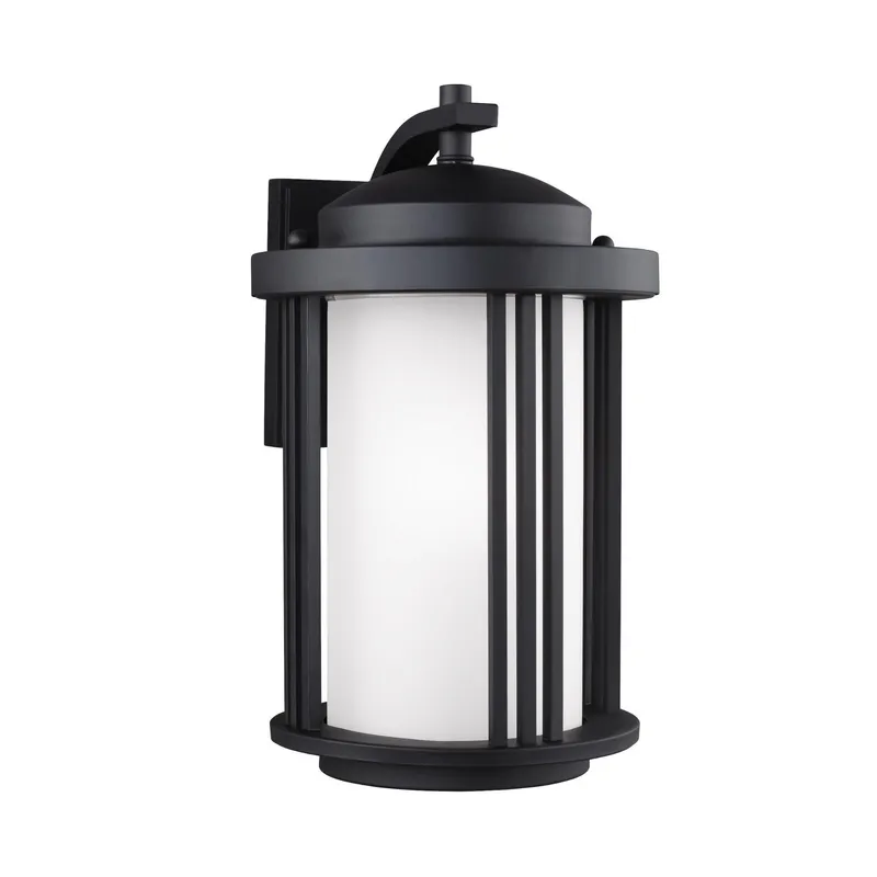 Crowell Medium One Light Outdoor Wall Lantern LED Contemporary Fixture Dark Sky 9" Width 14.875" Height Aluminum Round Satin Etched Shade in Black