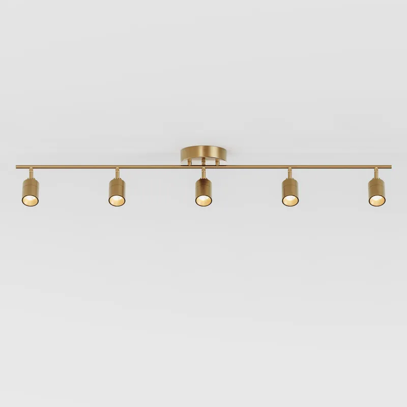 Shura 5 Head Track Light